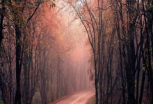 [法甲]巴黎圣日耳曼队赢得强强对话.