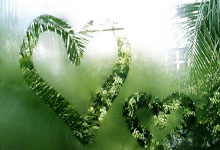 NBA新秀榜：卡斯尔领跑 里萨谢超越威尔斯升至次席.