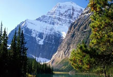 意媒：尤文中场引援首选托纳利，可能用路易斯进行交换.