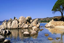 劳塔罗：我感谢所有花时间和捐款帮助那些失去家园的人的人们.